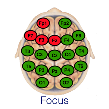 focus brain map